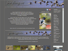 Tablet Screenshot of birding.se