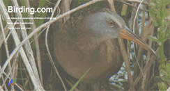 Desktop Screenshot of birding.com